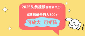 2025头条视频掘金新风口：0基础日入300+，可放大，可矩阵-爱找项目网