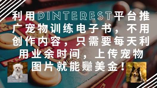 利用Pinterest平台推广宠物训练电子书，不用创作内容，只需要每天利用业余时间，上传宠物图片就能挣美金!-爱找项目网