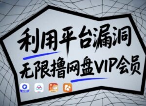 利用平台漏洞，无限撸网盘VIP会员，用户亲测有效!【漏洞原理+操作演示】-爱找项目网