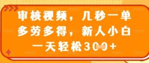 视频审核员，几秒一单，不限时间，不限地点，多做多得，新人小白一天轻松几张+【揭秘】-爱找项目网