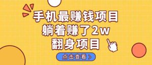 暴利项目，手机一键代发视频被动收入1000+，零成本做老板长期管道收益！-爱找项目网