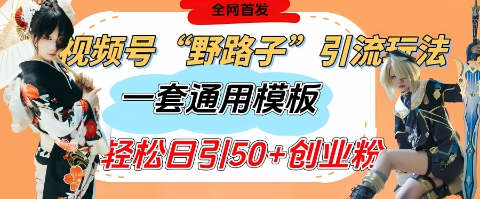 视频号“野路子”玩法，评论区疯狂截流，一套模板单日单号引流50+创业粉-爱找项目网
