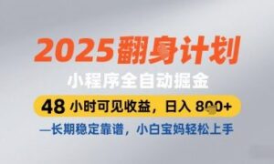 2025小程序全自动掘金，48 小时可见收益，日入8张，长期稳定靠谱，小白宝妈轻松上手【揭秘】-爱找项目网