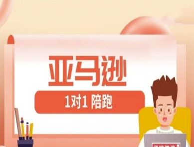 亚马逊1对1陪跑课(FBA/FBM精铺)跨境亚马逊教程-爱找项目网