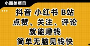 小而美的项目,抖音小红书B站视频点赞、关注、评论就能挣钱,简单无脑立见收益,妥妥的零撸项目【揭秘】-爱找项目网