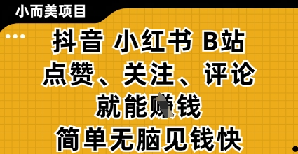 小而美的项目，抖音小红书B站视频点赞、关注、评论就能挣钱，简单无脑立见收益，妥妥的零撸项目【揭秘】-爱找项目网