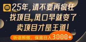 什么？25年你还在疯狂找项目做，醒醒吧，看完这些你全都懂了【揭秘】-爱找项目网