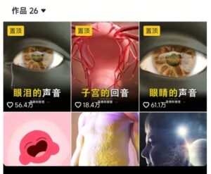 抖音坚果3D动画科普项目，撸视频号分成和抖音伙伴计划，适合零基础小白-爱找项目网