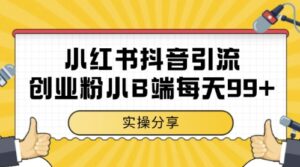 小红书抖音创业粉，小B端粉自热，日引99+的一个玩法【揭秘】-爱找项目网