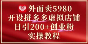 外面卖5980开设拼多多虚拟店铺:单日引流200+创业付费粉实战教程-爱找项目网