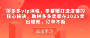 拼多多vip课程，零基础打造店铺的核心秘诀，助拼多多卖家在2025卖出爆款，订单不断-爱找项目网