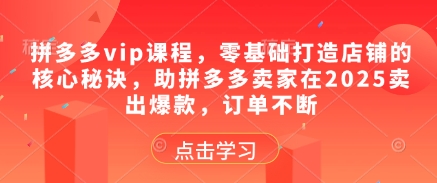 拼多多vip课程，零基础打造店铺的核心秘诀，助拼多多卖家在2025卖出爆款，订单不断-爱找项目网