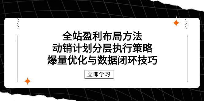全站盈利布局方法：动销计划分层执行策略，爆量优化与数据闭环技巧-爱找项目网