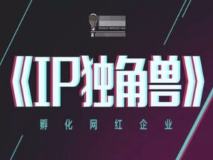 IP独角兽，孵化网红企业，ip教程-爱找项目网