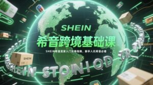 希音跨境基础课，SHEIN希音卖家入门实操指南，新手入坑希音必看-爱找项目网