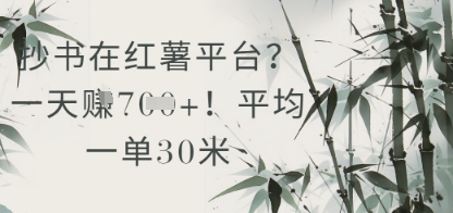 抄书在小红薯平台？平均一单30米，一天收益几张！-爱找项目网