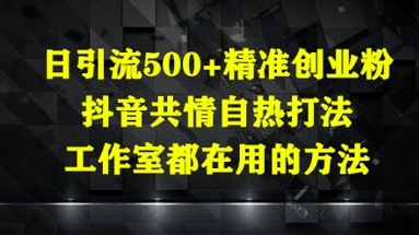 日引流500+精准创业粉，抖音共情自热打法，工作室都在用的方法-爱找项目网