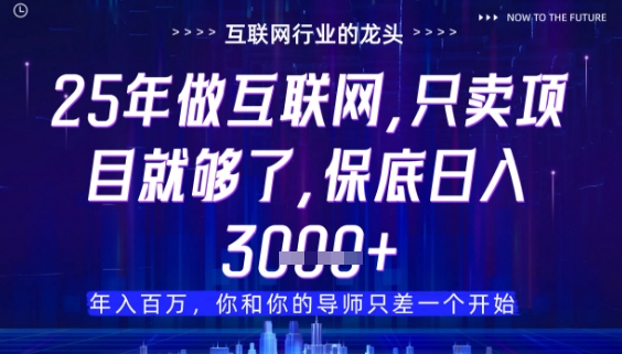 什么！25年你还在找项目做？风口早就变了，卖项目才是稳挣不赔【揭秘】-爱找项目网
