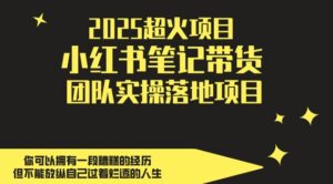 2025超火项目，副业最佳选择，小红书笔记带货团队实操落地项目，，轻松日入5张-爱找项目网