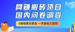 网创搬砖项目，国内问卷调查，小白轻松上手，一天三四张的也不难，干就完了【揭秘】-爱找项目网