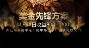 免费技术！小众赛道！一年布局抵三年努力，每日800+-爱找项目网