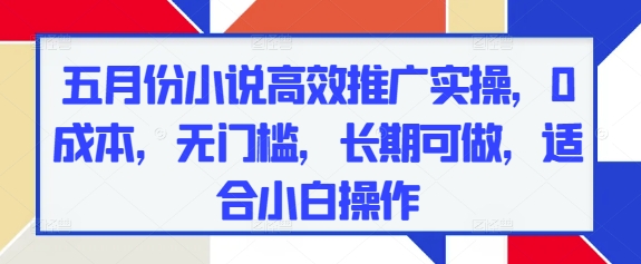 五月份小说高效推广实操，0成本，无门槛，长期可做，适合小白操作-爱找项目网