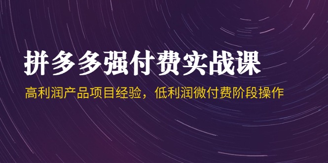 拼多多强付费实战课-44期，高利润产品项目经验，低利润微付费阶段操作-爱找项目网