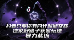 抖音只要你有同行就能获客，独家野路子获客玩法，暴力截流【揭秘】-爱找项目网