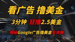 看广告，撸美金！！3分钟赚2.5美金！！日入200美金不是梦！揭秘Google...-爱找项目网