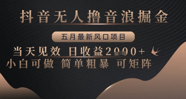 抖音无人撸音浪掘金，五月最新风口项目，当天见效，日收益多张，小白可做简单粗暴可矩阵【揭秘】-爱找项目网