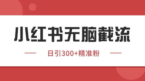 小红书只要你有同行就能获客，独家野路子获客玩法，暴力截流【揭秘】-爱找项目网