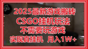 2025最新游戏搬砖，CSGO挂机，不需要玩游戏，实现真挂机，月入1W+-爱找项目网
