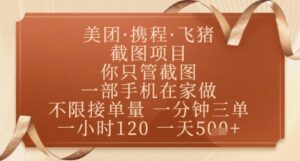 飞猪美团截图项目，你只管截图，一部手机在家做，正规平台无套路，一天5张+【揭秘】-爱找项目网