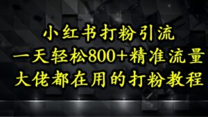 小红书打粉引流,一天轻松500+精准流量,大佬都在用的打粉教程-爱找项目网