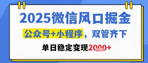 2025微信风口掘金，公众号+小程序双管齐下，单日稳定变现1k+【揭秘】-爱找项目网
