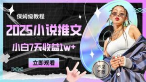 2025小说推文最新玩法，推文保姆级教程，小白7天收益1w+-爱找项目网