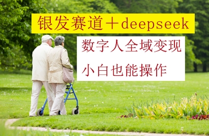 银发赛道+deepseek数字人全域变现，小白也能操作-爱找项目网