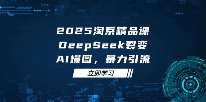 2025 淘系精品课，DeepSeek 裂变，AI 爆图，暴力引流-爱找项目网