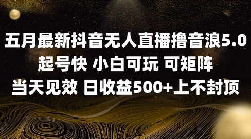 2025五月最新无人直播撸音浪单日产出5张+实操教程【揭秘】-爱找项目网