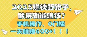 2025赚钱野路子，截屏就能赚钱？手机操作0门槛，一天躺赚600+！！！-爱找项目网