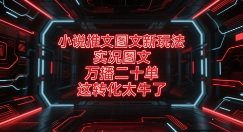 小说推文图文新玩法，实况图文，万播二十单，这转化太牛了！-爱找项目网