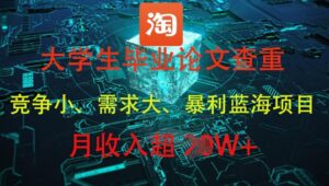 大学生毕业论文查重，暴利蓝海项目，月收入过1W+-爱找项目网