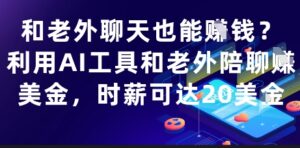 和老外聊天也能挣钱？利用AI工具和老外陪聊挣美金，时薪可达20刀-爱找项目网