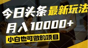 今日头条最新风口,视频掘金,小白也可月入过万,可以矩阵操作-爱找项目网
