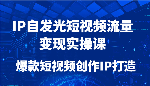 IP自发光短视频流量变现实操课，爆款短视频创作IP打造-爱找项目网