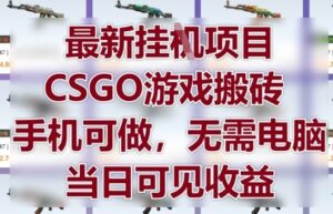 最新挂G项目，CSGO游戏搬砖，手机可做，无需电脑，当日见收益【揭秘】-爱找项目网