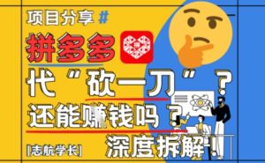 【2025最新】拼多多代坎助力项目深度拆解：还能挣钱吗?全流程玩法-爱找项目网