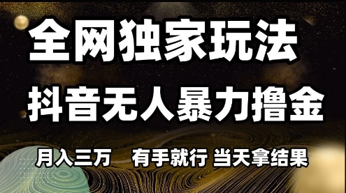 全网独家玩法抖音无人暴力撸金，月入3W，有手就行，当天拿结果【揭秘】-爱找项目网