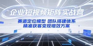 企业短视频矩阵实战营：赛道定位模型+团队搭建体系+精准获客变现增效方案-爱找项目网