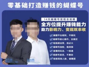 蝴蝶号专栏-视频号运营教程，零基础打造挣钱的蝴蝶号，14天蝴蝶号变现全攻略-爱找项目网